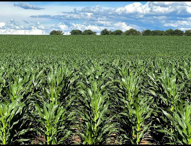 FARM FOR SALE IN BETHLEHEM RURAL